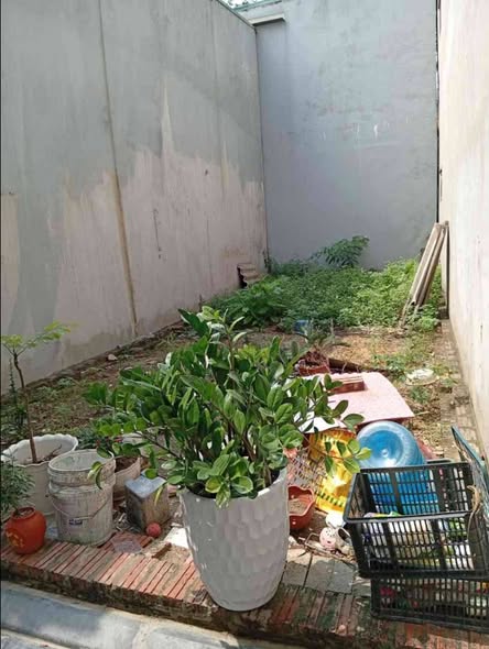 LÔ đất khu trung– chủ cần bán gấp