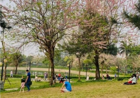 BÁN BIỆT THỰ NGOẠI GIAO ĐOÀN - GIÁ CỰC HẤP DẪN, THƯƠNG LƯỢNG TỐT