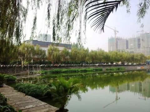 #CHỦ_NHÀ_THIỆN_CHÍ_GIẢM_3TỶ
