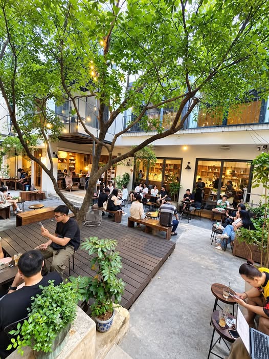CAFE checkin,mô hình 24H nằm giữa quận ĐỐNG ĐA với 400m2 sử dụng,mặt tiền 10M mà giá thuê chỉ 42 ...