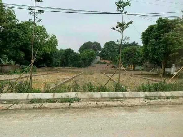 Trục chính áp Phan liên xã