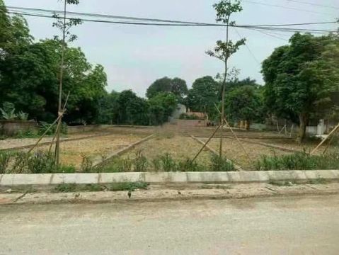 Trục chính áp Phan liên xã