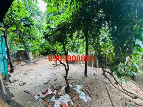 **ĐẤT TRUNG TÂM GIA LÂM – VỊ TRÍ ĐẸP, TIỆN ÍCH 2KM**