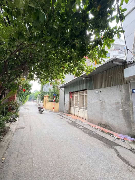 MẢNH ĐẤT NAM DƯ - TÂY TRÀ - LĨNH NAM - OTO - KINH DOANH