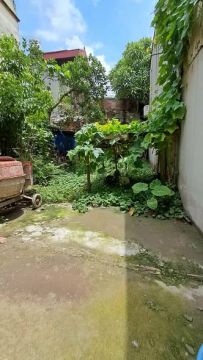HIẾM! ĐẤT PHÚC LỢI 52M²- 4.65 TỶ – VÀI BƯỚC RA Ô TÔ, NGAY CHỢ & TRƯỜNG HỌC!