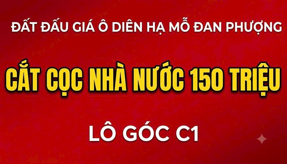 Chính chủ cắt cọc nhà nước 150 triệu thửa C1 Ô Diện Hạ Mỗ Đan Phượng - Hà Nội.