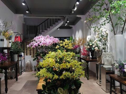 MBKD VĂN MIẾU – NGUYỄN KHUYẾN | 160M² | MT 5M