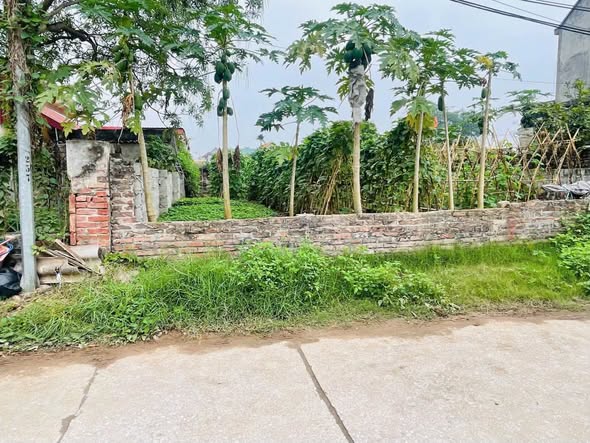 TRỤC CHÍNH đường rộng 7m