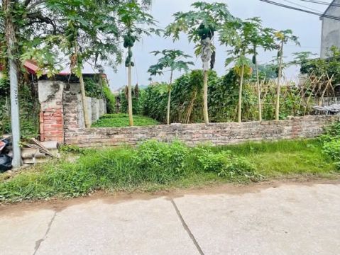 TRỤC CHÍNH đường rộng 7m
