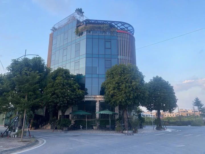 Tổng hợp một số sàn Văn phòng cho các sếp lựa chọn: