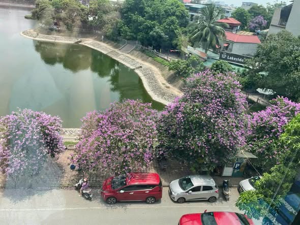 Văn phòng 230m2 – View Hồ Hạ Đình – Full nội thất – 55 triệu (Tl)