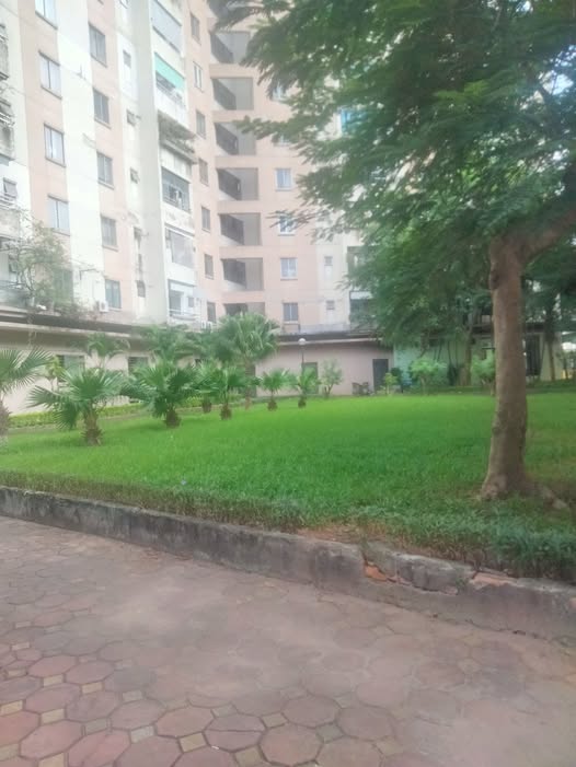 BÁN GẤP CĂN HỘ VIỆT HƯNG – 75M² – 2PN – GIÁ CHỈ 3,2 TỶ