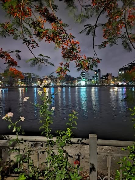 Hạ Chào:1,5 tỷ – Còn 7 tỷ