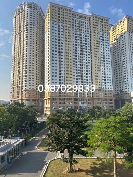 CẬP NHẬT HÀNG CĂN ĐẸP VINACONEX 2 & THÔNG TẤN XÃ – ĐỊNH CÔNG, HÀ NỘI