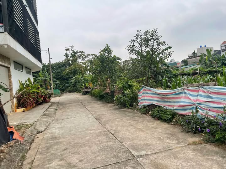 Tôi chính chủ có lô đất tại phường Chương Mỹ, Hà Nội, hiện đang áp lực tài chính, có dư nợ xấu tạ...