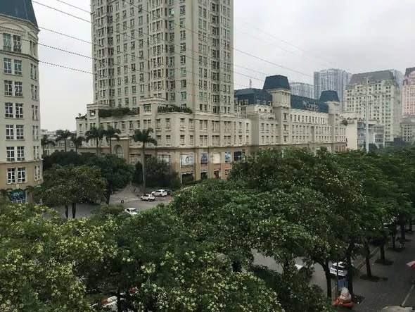 CẦN Cho thuê MBKD - VĂN PHÒNG cả nhà hoặc thuê lẻ từng tầng mặt phố Mễ Trì - Từ Liêm - TP Hà Nội