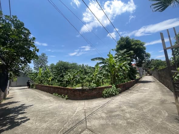NHỈNH 2  Tỷ -  250m² ĐẤT-THẠCH ĐÀ - MÊ LINH