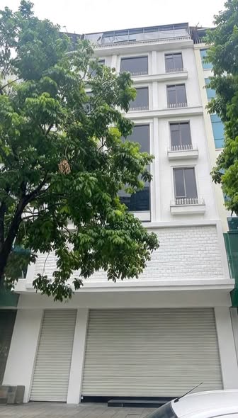 MBKD CẦU GIẤY – MỸ ĐÌNH | 4 MẶT BẰNG ĐẸP