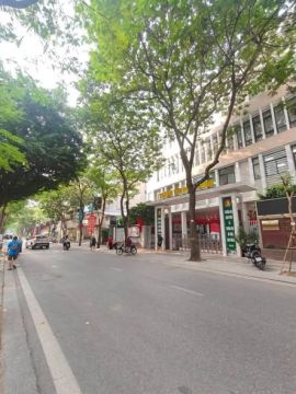 Quán Thánh 101m 4 Tầng MT5.5m Giá 32 tỷ Ba Đình