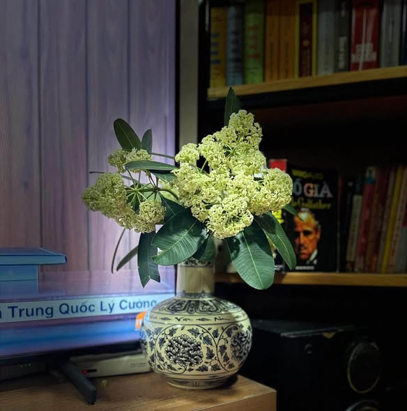 PHÂN LÔ BTL ĐẶC CÔNG – THANH XUÂN | 48M² – 4 TẦNG | NHỈNH 11 TỶ