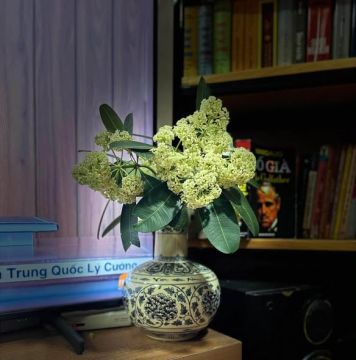 PHÂN LÔ BTL ĐẶC CÔNG – THANH XUÂN | 48M² – 4 TẦNG | NHỈNH 11 TỶ