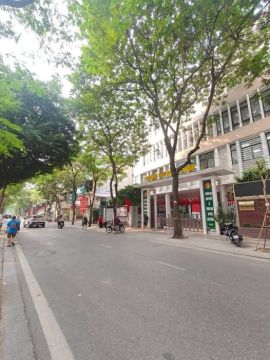 Cho thuê bất động sản Thanh xuân 12 triệu