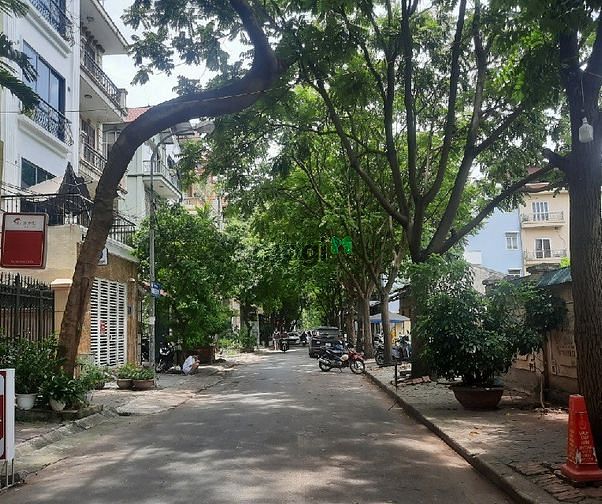 Biệt thư, liền kề KĐT Trung Hòa, Thang máy, 2 thoáng trước sau 100m2