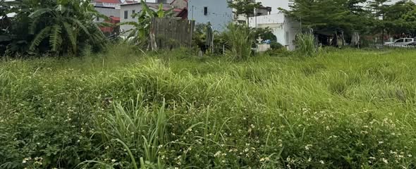ĐẤT THỔ CƯ 485m² – VĂN GIANG, HƯNG YÊN mảnh đất có một không có hai đất cực đẹp