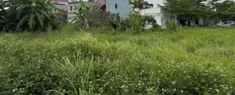 ĐẤT THỔ CƯ 485m² – VĂN GIANG, HƯNG YÊN mảnh đất có một không có hai đất cực đẹp
