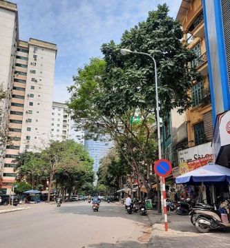 Đất Liền kề Nguyễn Thị Định, Cầu Giấy. Lô góc 105m2 MT 10m. Vỉa hè 3m