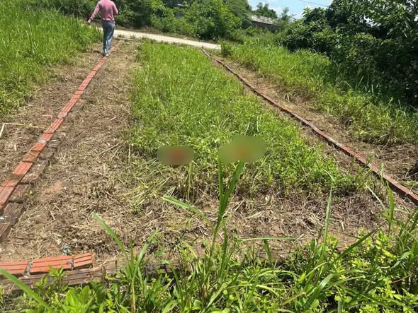 CHÍNH CHỦ GỬI BÁN LÔ ĐẤT ĐẸP – ĐẠI YÊN, PHƯỜNG CHƯƠNG MỸ – HÀ NỘI