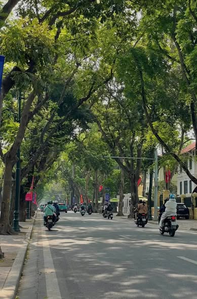 CHO THUÊ NHÀ MẶT PHỐ ĐỘI CẤN – BA ĐÌNH- MBKD