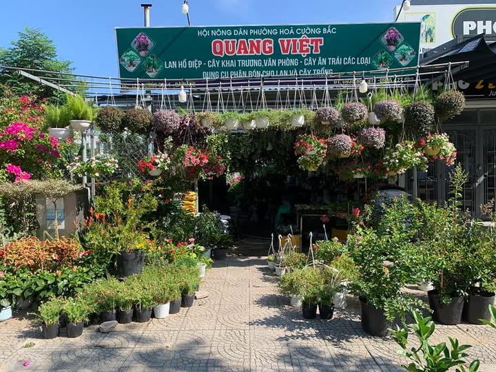 SIÊU PHẨM KIOT CHỢ BƯỞI – HOÀNG HOA THÁM