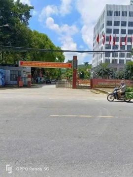 Hàng hiếm đẹp nhức nách
