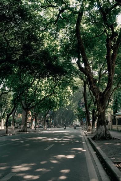BÁN NHÀ MẶT PHỐ PHAN ĐÌNH PHÙNG - HIẾM NHÀ BÁN - MẶT TIỀN RỘNG - VỊ TRÍ ĐẮC ĐỊA - ĐÓN QUY HOẠCH G...
