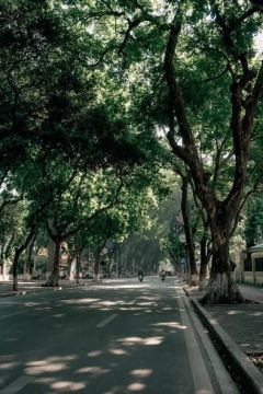 BÁN NHÀ MẶT PHỐ PHAN ĐÌNH PHÙNG - HIẾM NHÀ BÁN - MẶT TIỀN RỘNG - VỊ TRÍ ĐẮC ĐỊA - ĐÓN QUY HOẠCH G...