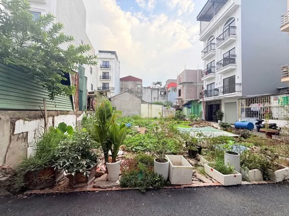 Quanh 6 tỷ quý khách sở hữu luôn mảnh đất đẹp 56m2 pháp lý chuẩn gần KĐT Việt Hưng, Vinhome River...