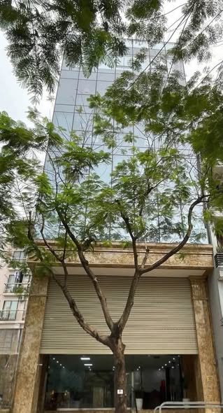 Cho Thuê Nhà Toà Nhà Nguyễn Khang Yên Hoà Cầu Giấy