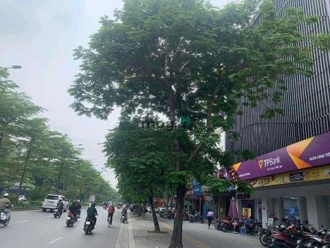 Bán tòa văn phòng mặt phố Đống Đa- Mặt tiền siêu rộng- 245m- hơn 200tỷ