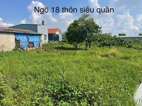 Bán đất chính chủ tại ngõ 18 thôn Siêu Quần xã Tả Thanh Oai, Thanh Trì