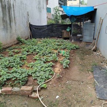 Bán gấp lô đất Dương Quang- Giá Tốt- Vị trí tiềm năng- sổ sẵn cầm tay