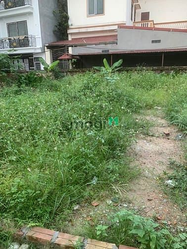 BÁN đất Thanh Am – Ô tô đỗ cửa – Siêu hiếm – 30m2 chỉ 4,35 tỷ