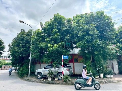 Đất đấu giá Trâu Quỳ, Lô góc 2 mặt tiền, Vỉa hè 5 oto - 105m2 - 14.x