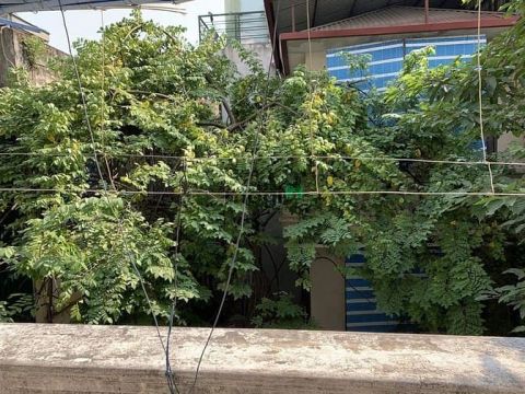 Bán đất phố Láng Hạ, 218m2 mặt tiền 14m, giá 32 tỷ, ngõ ô tô kinh doan