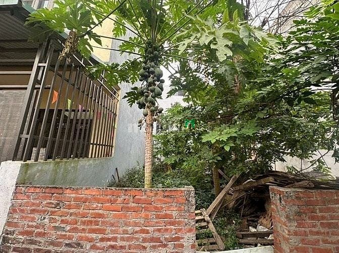 Bán Đất Hoà Lạc, tai Phú Cát, Ô Tô Tránh Vỉa Hè, 110 m2, Đối Điện ĐHQ.