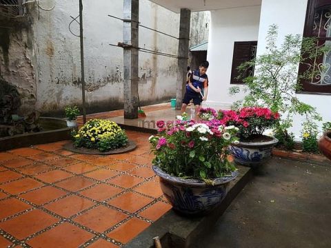 Bán đất Kim Ngưu, 24 tỷ, 193m2, mặt tiền 9.88m, sổ hồng sẵn
