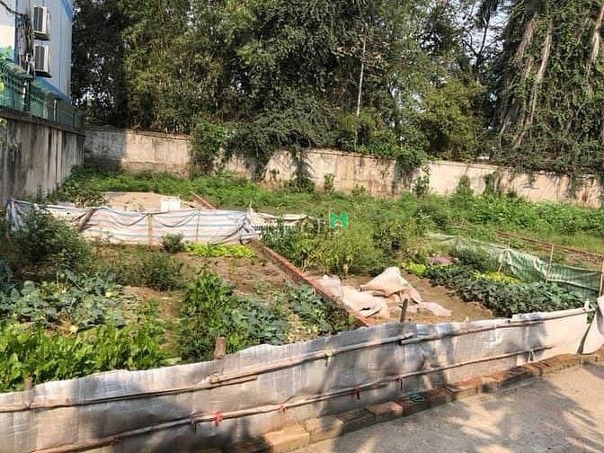 Bán Đất Vân Nội ngõ Ô tô vào trong đất