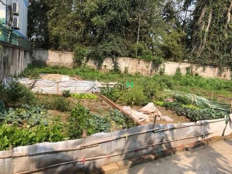 Bán Đất Vân Nội ngõ Ô tô vào trong đất