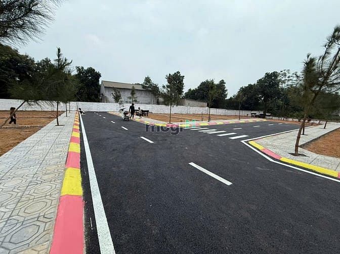 Bán lô hoa hậu cổ liễn, cổ đông 100m nhỉnh 3ty sát trục chính gần