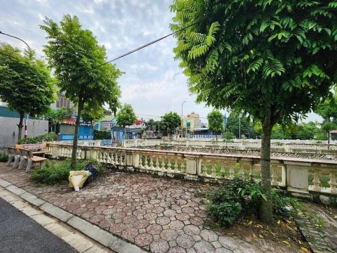 Dương Quang-Gia Lâm-ô tô đỗ-giá đầu tư-bay nhanh-nhỏ tiền